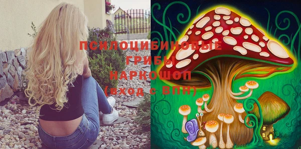кокс Арсеньев