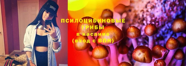 кокс Арсеньев