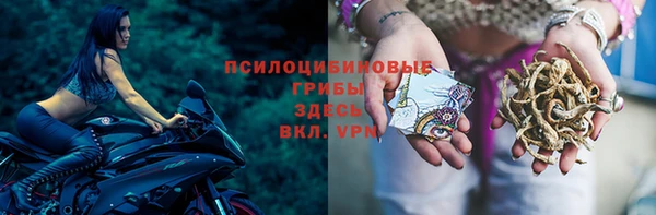 кокс Арсеньев