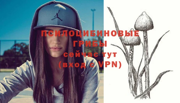 дурь Аркадак