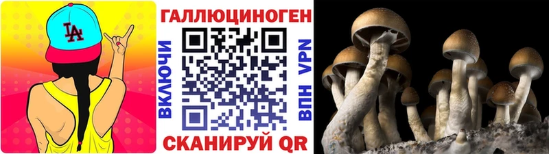 ссылка на мегу маркетплейс  хочу   Лихославль  Псилоцибиновые грибы GOLDEN TEACHER 